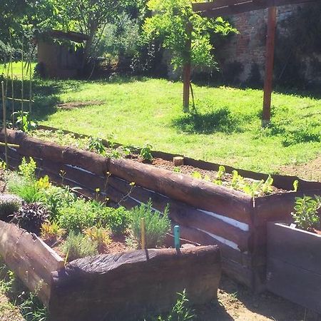 Vila Fienile Da Primo San Giovanni Valdarno Exteriér fotografie