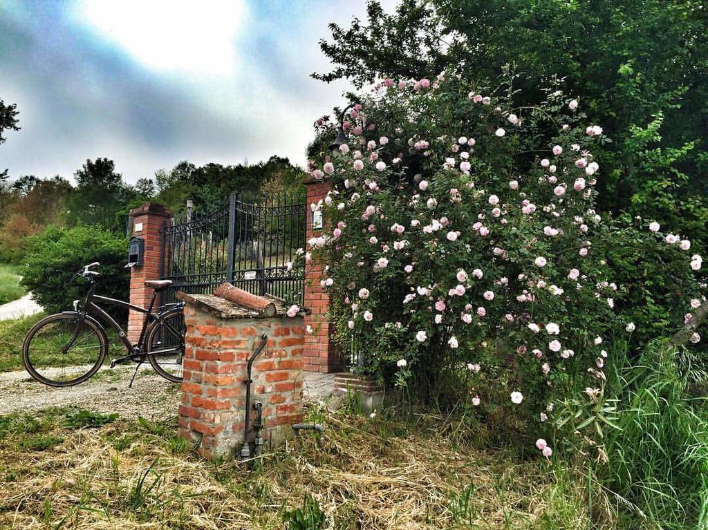 Vila Fienile Da Primo San Giovanni Valdarno Exteriér fotografie